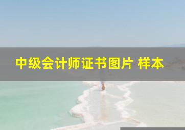 中级会计师证书图片 样本